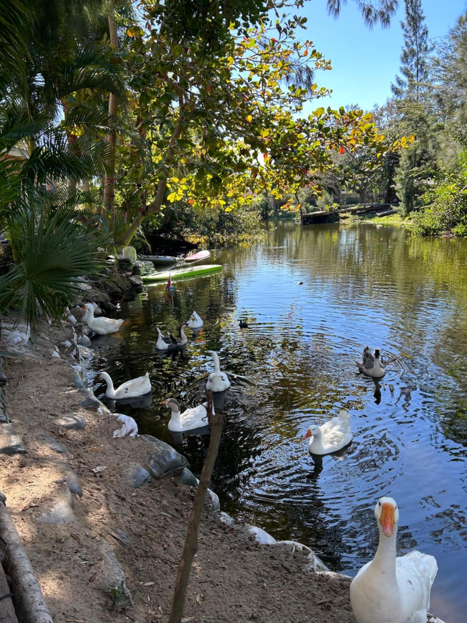 The Sanctuary House West Palm Beach Exterior photo